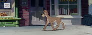 Lady-tramp-disneyscreencaps.com-1613