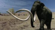 Columbian Mammoth as Mamenchisaurus