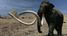 Mammoth, Columbian.jpg