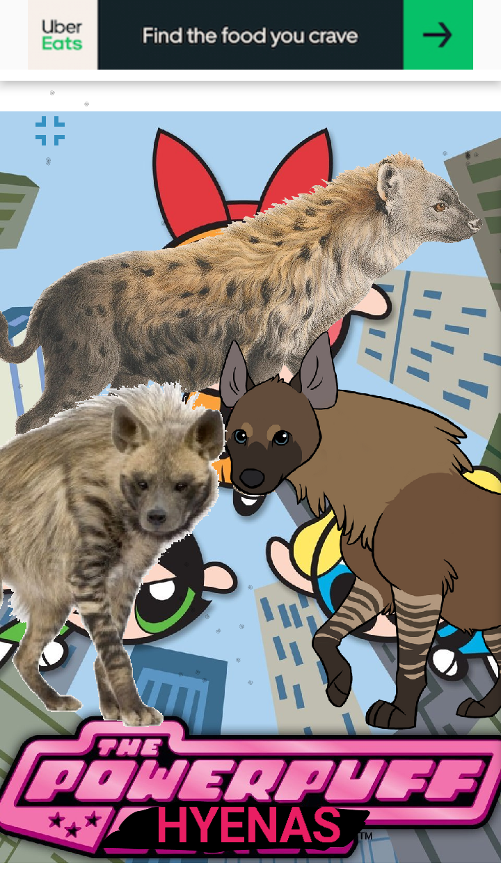 The Powerpuff Hyenas  The Parody Wiki  Fandom