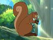 Rileys Adventures Eurasian Red Squirrel