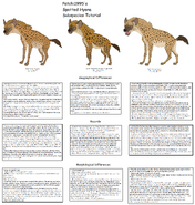 Spotted hyena subspecies and diffrences