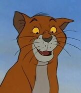 Thomas O'Malley as Bagheera