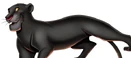 Bagheera jungle book 2014.png (107 KB)