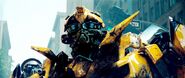 Bumblebee-transformers