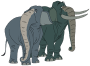 Grandma and Grandpa Elephant thewildlifeland.png