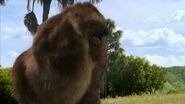 Giant Ground Sloth (Megatherium americanum)