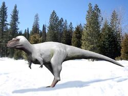 Nanuqsaurus NT small.jpg