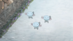 Wooper PG