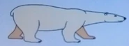 Batw-animal encyclopedia-polar-bear.png (85 KB)