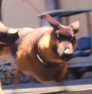 CgJeHSmzqs.jpg (20 KB)