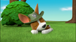 Paw patrol tracker sleeping
