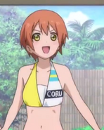 Rin Hoshizora's Swimsuit