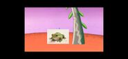 64 Zoo Lane Live-Action Australian Tree Frog