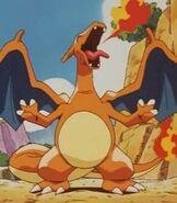 Charizard in the Shorts