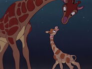 Giraffes as Themslesves