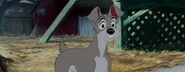 Lady-tramp-disneyscreencaps.com-6143