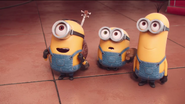 Minions are meeting herb