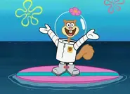 Sandy Cheeks