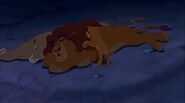 Sarabi and Mufasa sleeping