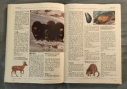 The Kingfisher Illustrated Encyclopedia of Animals (104)