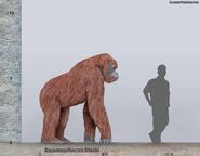 Gigantopithecus (V2)