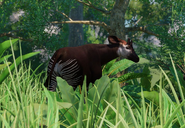 Okapi-planet-zoo