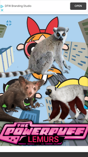 PPLMRS1998 Poster.png
