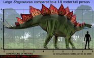 Stegosaurus stenops (V2)