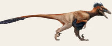Utahraptor (V2).jpg