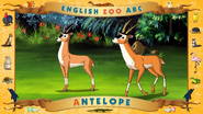 ABC Antelope