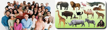 Humans and Animals.