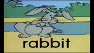 Journey Through the Jungle of Words Rabbit