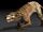 Jullie The Hyaenodon