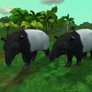 Malayan Tapir Game zooempire2