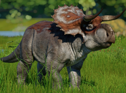 Nasutoceratops titusi