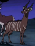 Phineas and Ferb Kudu