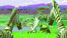 Ezgif.com-gif-maker (32).gif