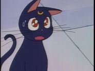 Luna as Duplica