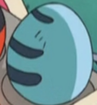 Wooper Egg