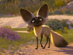 Bat-Eared Fox