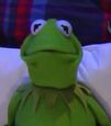 Kermit the Frog in The Late Show with Stephen Colbert