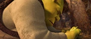 Shrek4-disneyscreencaps.com-4086.jpg (411 KB)