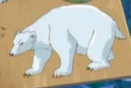 Totally Spies Polar Bear.png (204 KB)