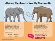 Elephants and Mammoths Side By Side