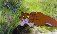 Thomas O'Malley as Luke