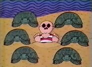 7-turtles