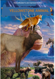 NR1&SW1234 YA 2000 Poster.png
