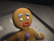 GINGY-gingy-29121749-693-521