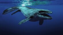 Mosasaurus3 8967.jpg